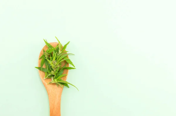 Rośliny marihuany w drewnianych spoom — Zdjęcie stockowe