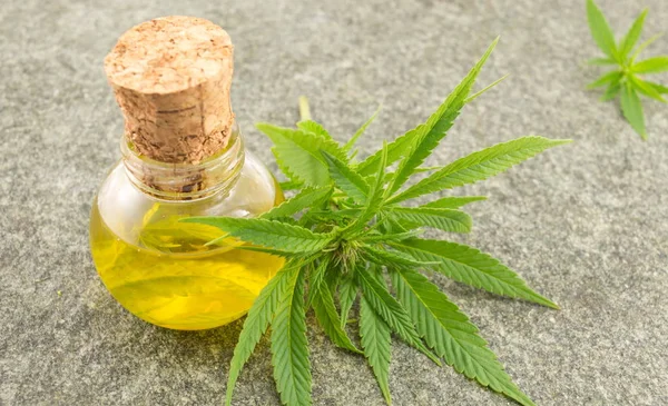 Marijuana leaf and cannabis oil — Stock Photo, Image