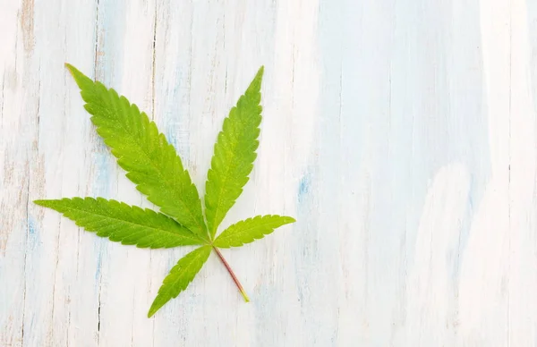 Marijuana växt på trä bakgrund — Stockfoto