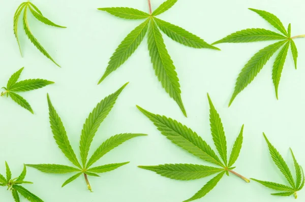 Un mucchio di piante di marijuana sul verde — Foto Stock