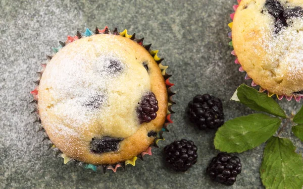 Blackberry muffins covered with sugar powder — Stock Photo, Image