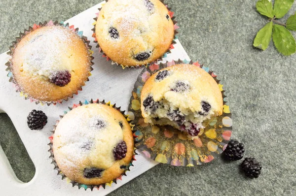 Blackberry muffins covered with sugar powder — Stock Photo, Image