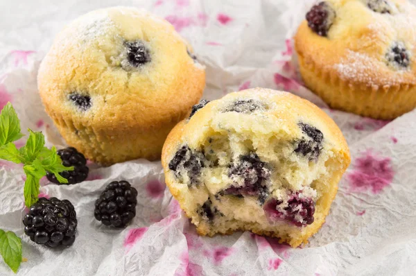 Muffins de amora preta cobertos com açúcar em pó — Fotografia de Stock