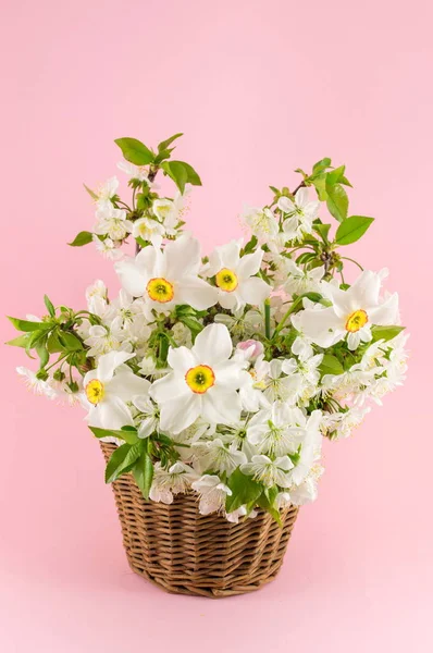 Narciso buquê de flores no fundo rosa — Fotografia de Stock