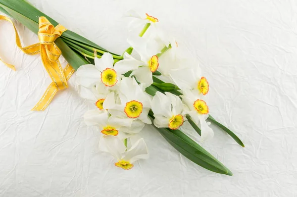 Narcissus flowers bouquet on white background — Stock Photo, Image