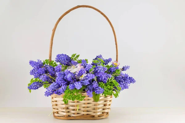 Bluebell çiçekler buket sepet içinde — Stok fotoğraf