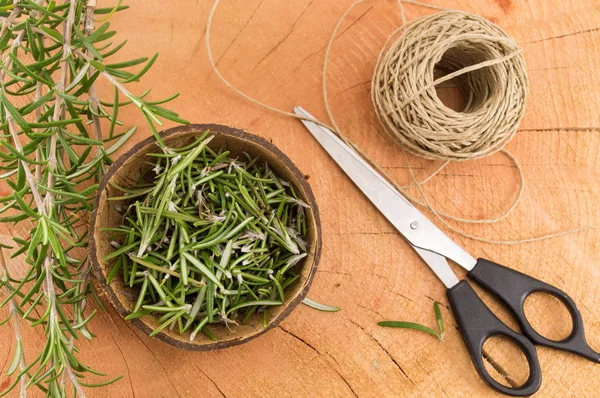 Rosemary in a coconut shell — Stock Photo, Image