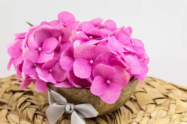 Ramo de flores de color rosa hortensia — Foto de Stock