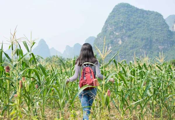 Menina andando no campo de milho — Fotografia de Stock