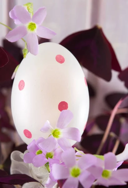 Huevo de Pascua decorado y flores de primavera — Foto de Stock