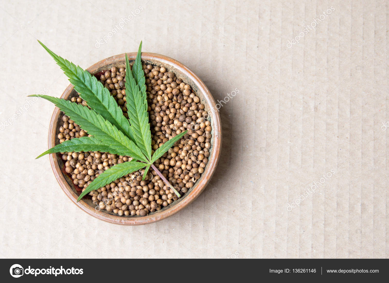 Фото семена марихуаны настроенный tor browser bundle hydra2web