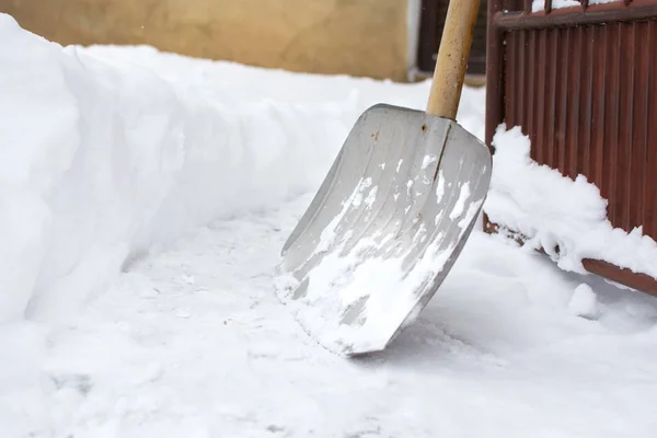 Sneeuw shovel in gesneeuwde voortuin — Stockfoto