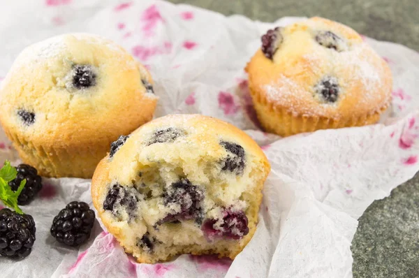 Muffins de amora preta cobertos com açúcar em pó — Fotografia de Stock