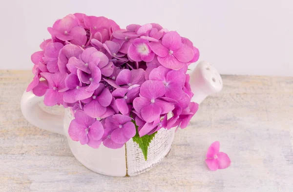 Grupo de flores rosa hortensia em um vaso — Fotografia de Stock