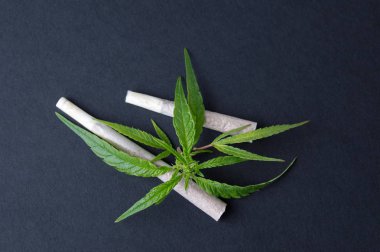 Two joints and marijuana leaves clipart