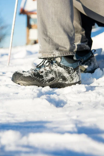Snow covered boots and hiking stick — Stock Photo, Image