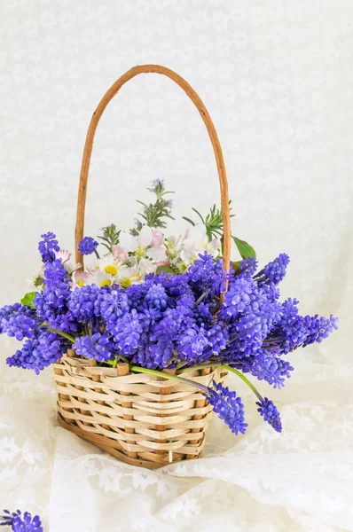 Hasır sepet Bluebell ve bahar çiçek buketi — Stok fotoğraf