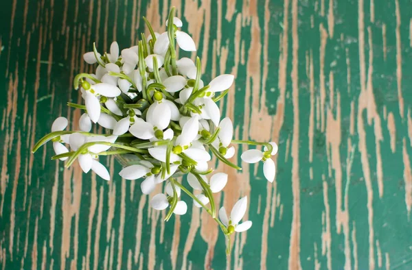 Snowdrops in a glass cup on a  table — Stock Photo, Image