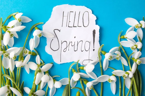 Hello spring note with fresh snowdrops — Stock Photo, Image