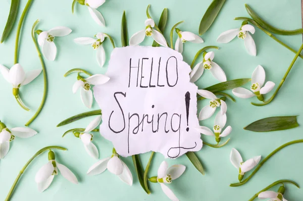 Olá primavera caligrafia nota com snowdrops — Fotografia de Stock