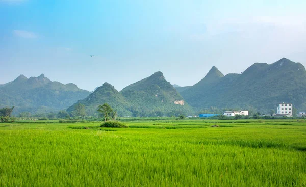 Campo de arroz y paisaje kárstico en Guangxi China — Foto de Stock
