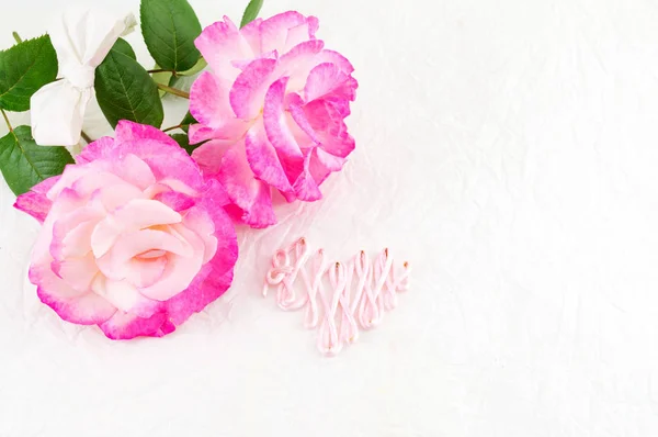 Két színű Rózsa, fehér szövet — Stock Fotó