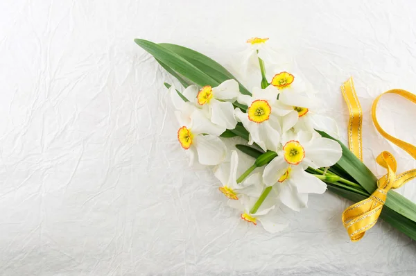 Narcissus flowers bouquet on white background — Stock Photo, Image