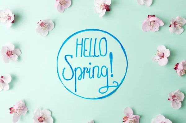 Hello spring note with cherry blossom flowers — Stock Photo, Image