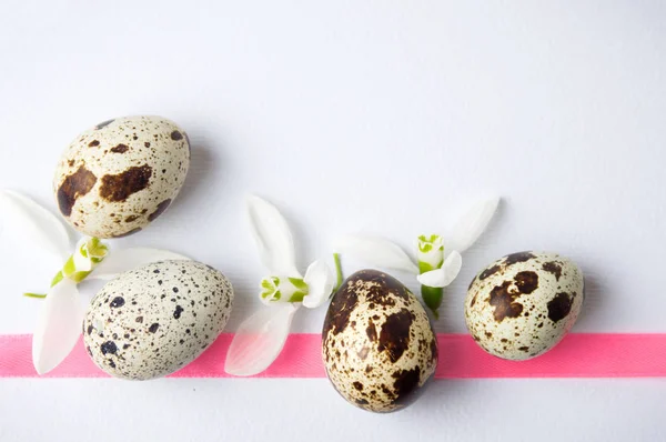 Jaja przepiórcze organicznych i kwiaty przebiśnieg — Zdjęcie stockowe