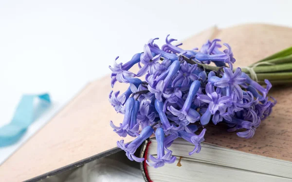 Jácint virág szüreti nyitott könyv — Stock Fotó