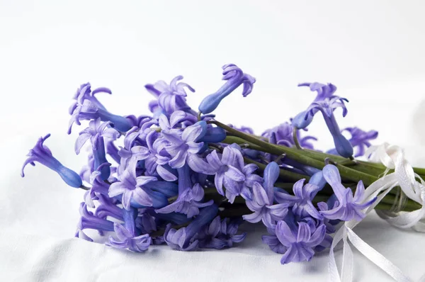 Buquê de flores jacinto roxo em têxteis — Fotografia de Stock