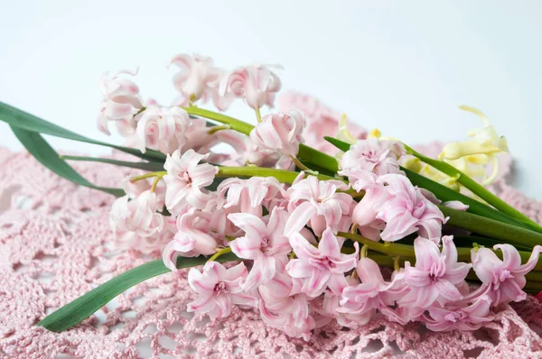 Rózsaszín Jácint virág csokor, hurkolt tábla borító — Stock Fotó