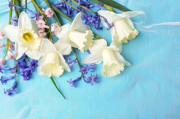 Narcisse et jacinthe fleurs sur tissu bleu — Photo