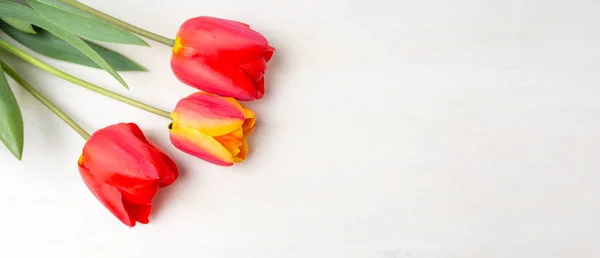 Tulipes rouges sur table blanche en bois — Photo