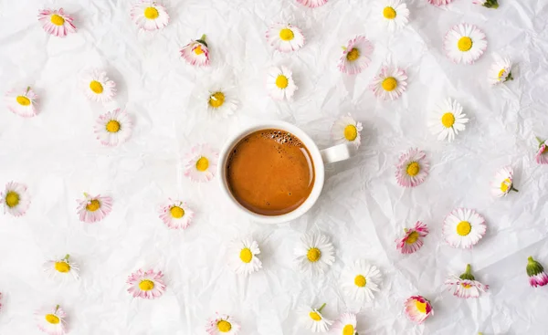 Чашка кави і ромашкових квітів — стокове фото