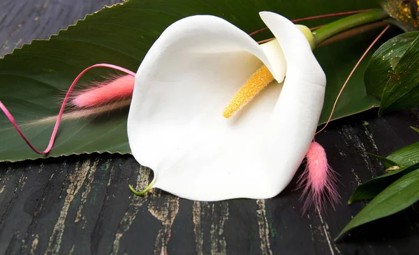 Calla Lily çiçek buketi bir tablo — Stok fotoğraf