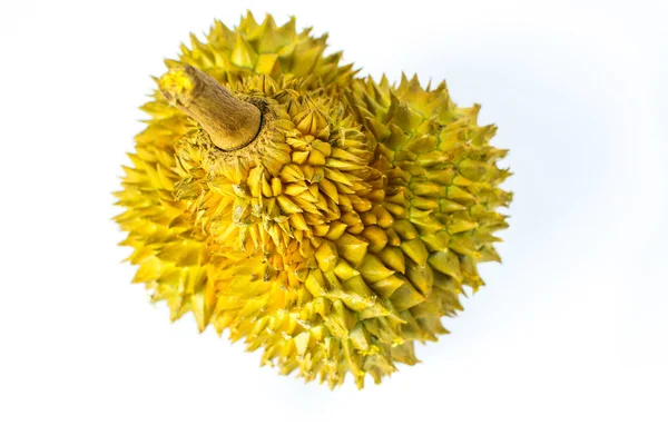 Fehér alapon izolált durian gyümölcs — Stock Fotó
