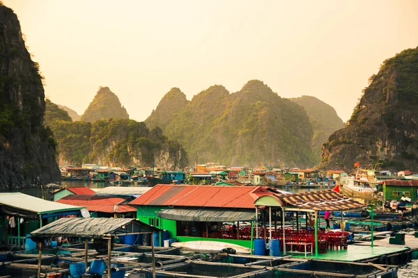 CAT BA, VIETNAM - 27 мая 2017 года: Рыбацкая деревня домов по б — стоковое фото