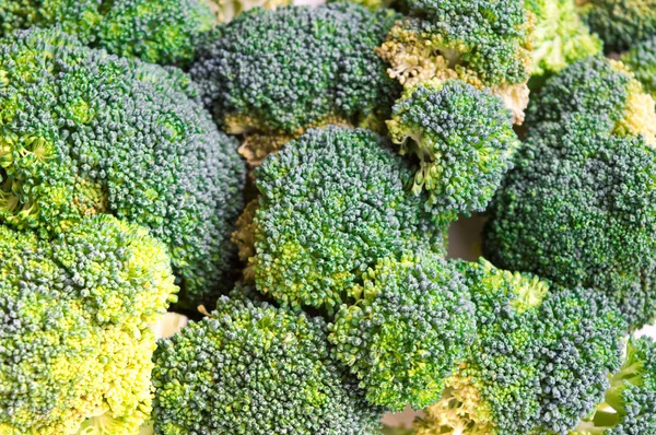 Brócolis close up textura fundo — Fotografia de Stock