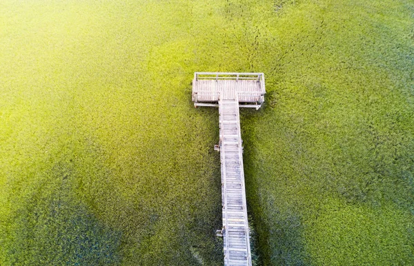Drewniany most nad Bagno z góry — Zdjęcie stockowe