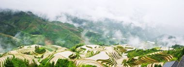 Panorama of terraced rice field in Longji, Guilin area, China clipart