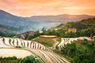 Sunset over terraced rice field in Longji, Guilin in China clipart