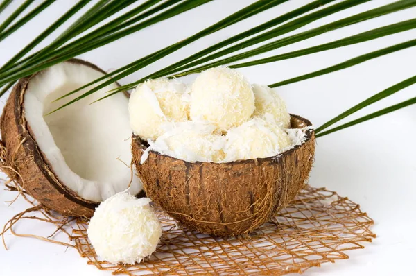 Kokosijs in een coco-shell — Stockfoto