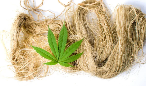 Hojas de marihuana sobre fibras de cáñamo —  Fotos de Stock
