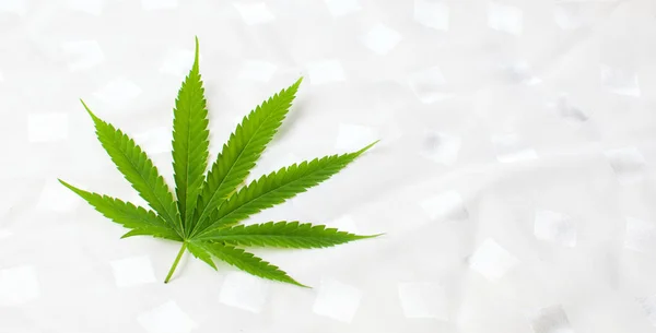 Marijuana blad på vit textil bakgrund — Stockfoto