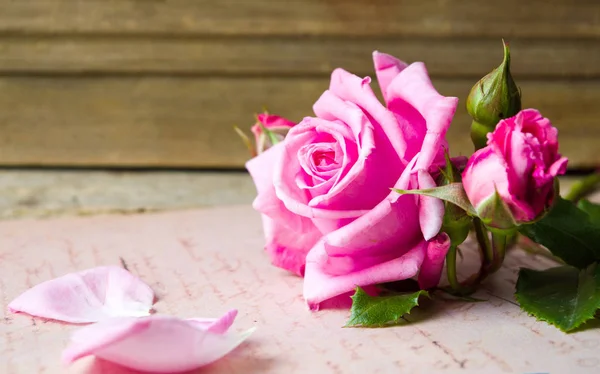Rózsaszín rózsák, vintage könyv — Stock Fotó
