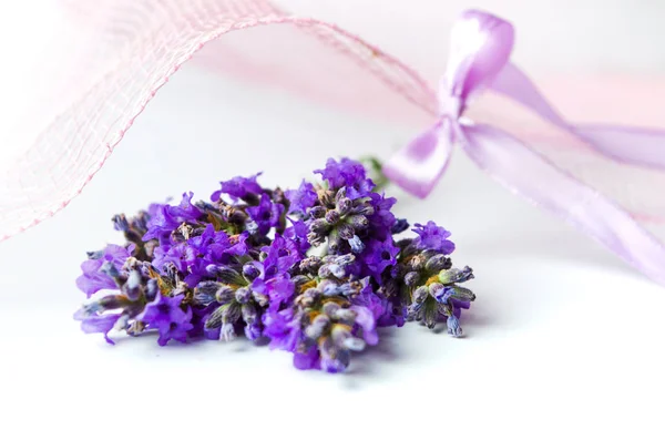 Buquê de flores de lavanda e tecido rosa — Fotografia de Stock