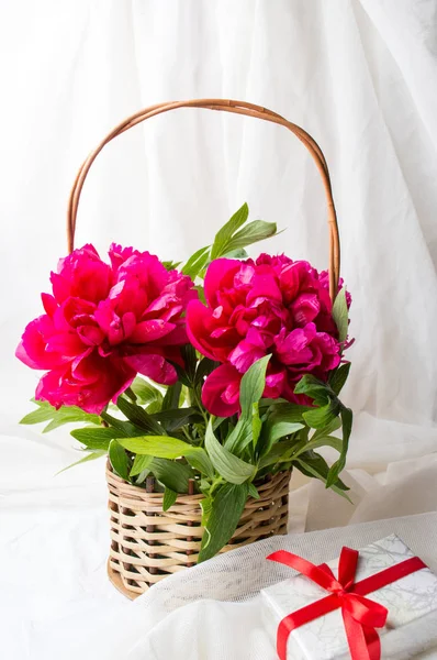 Flores de peônia vermelhas em uma cesta — Fotografia de Stock