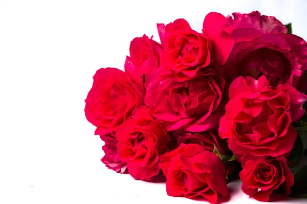Buquê de rosas vermelhas isolado no branco — Fotografia de Stock
