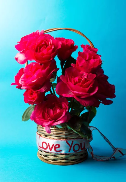 Türkiz kék háttérrel, vörös rózsa — Stock Fotó